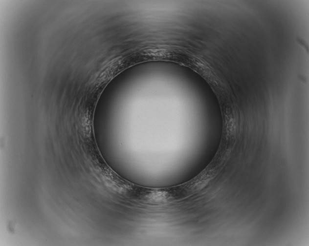 X0000100970609200807081221