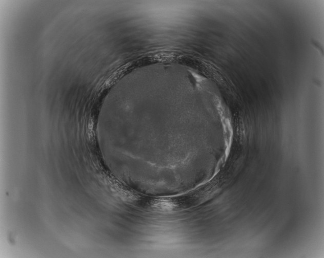 X0000100970610200807081221
