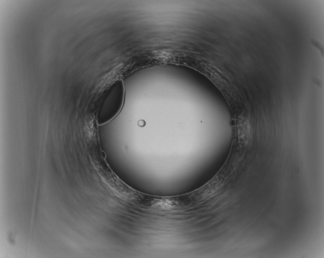 X0000100970611200807081221