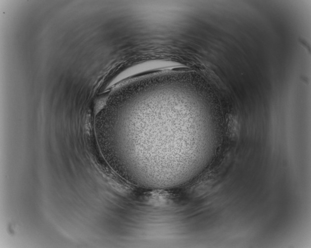 X0000100970612200807081221