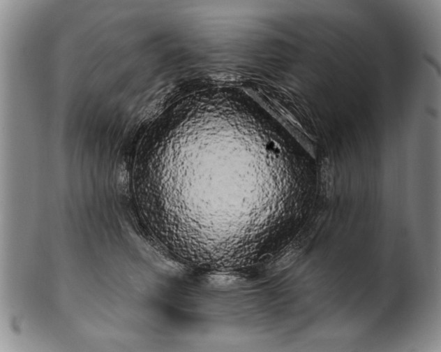 X0000100970614200807081221
