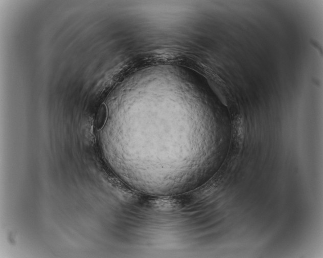 X0000100970615200807081221