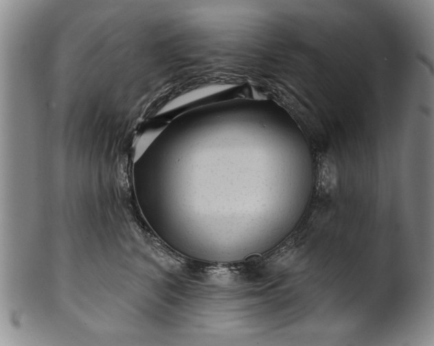 X0000100970616200807081221