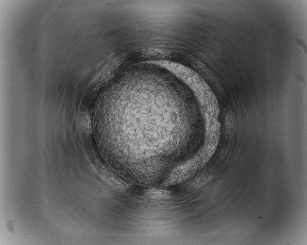 X0000100970617200807081221
