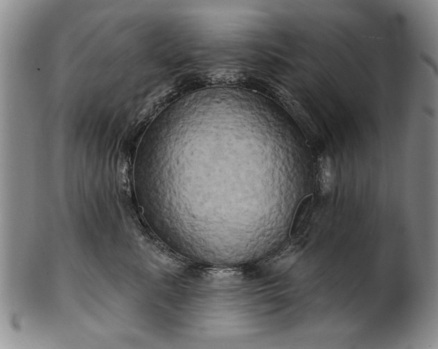 X0000100970619200807081221