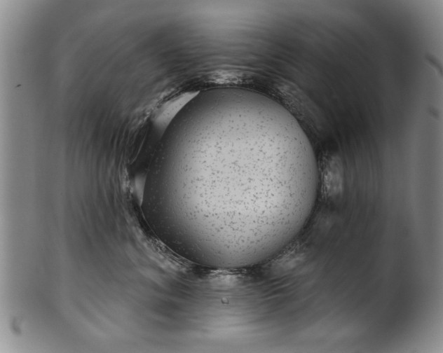 X0000100970620200807081221