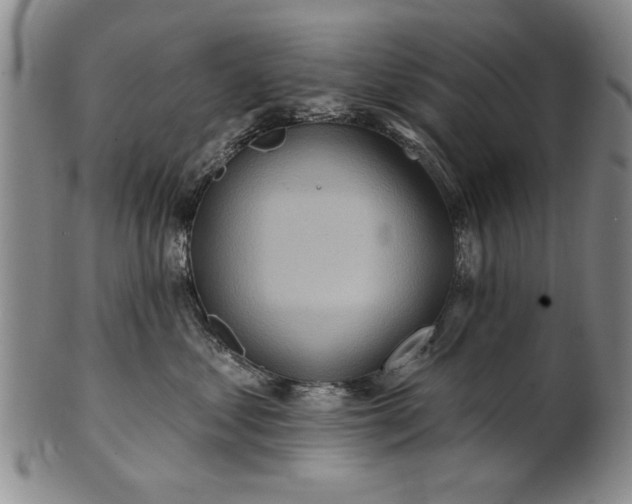 X0000100970621200807081221