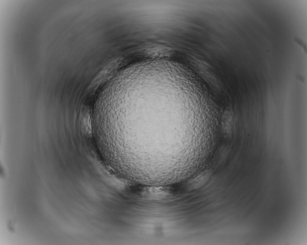 X0000100970622200807081221