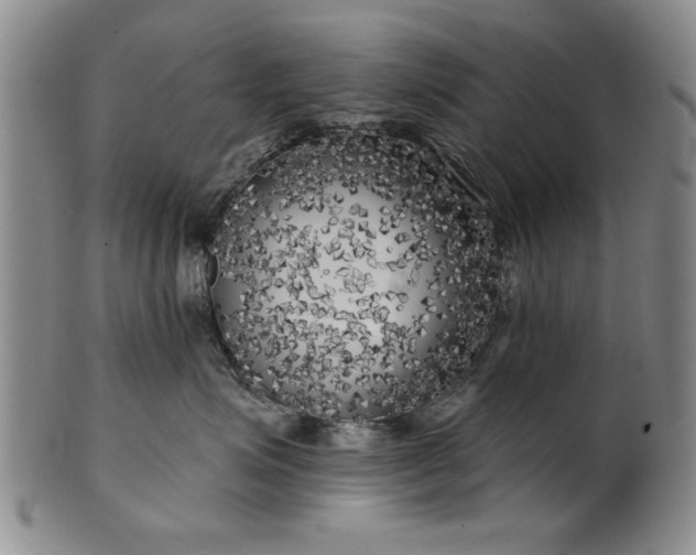 X0000100970623200807081221
