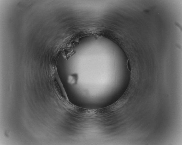 X0000100970624200807081221