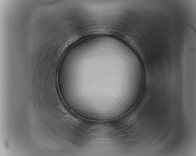 X0000100970625200807081220