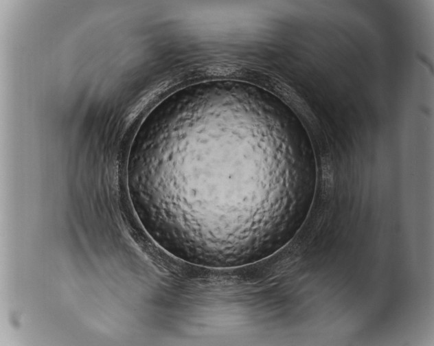 X0000100970626200807081220