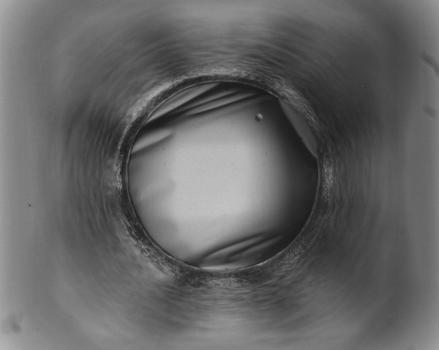 X0000100970628200807081220