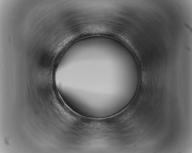 X0000100970629200807081220