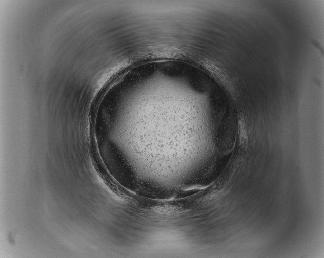 X0000100970630200807081220
