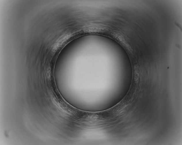 X0000100970631200807081220