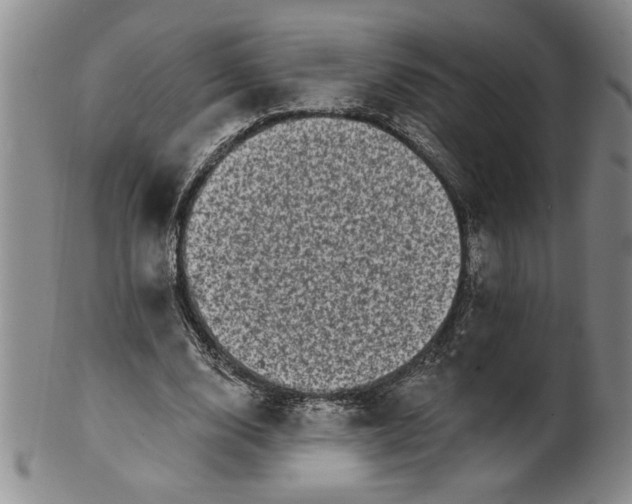X0000100970632200807081220