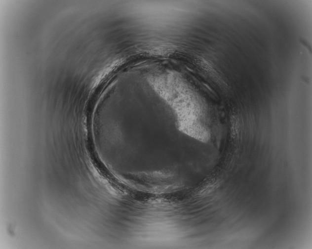 X0000100970634200807081220