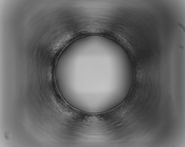 X0000100970635200807081220