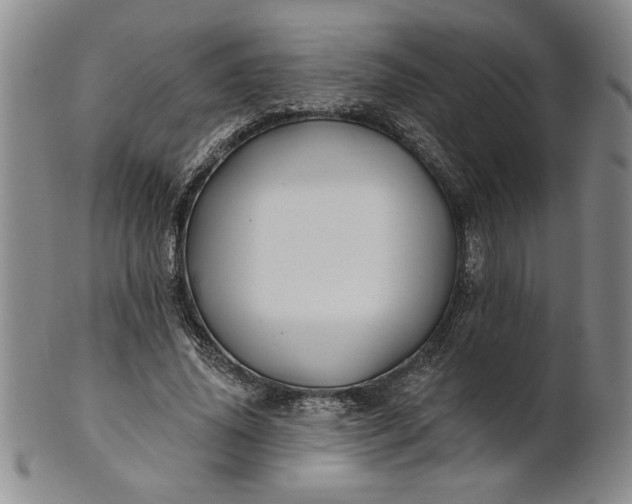 X0000100970636200807081220