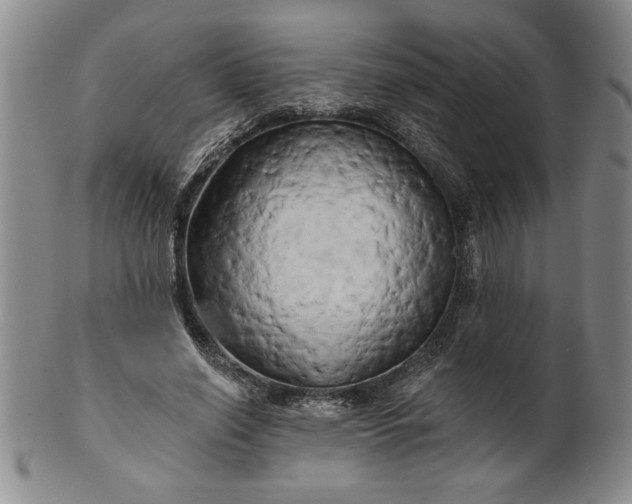 X0000100970638200807081220