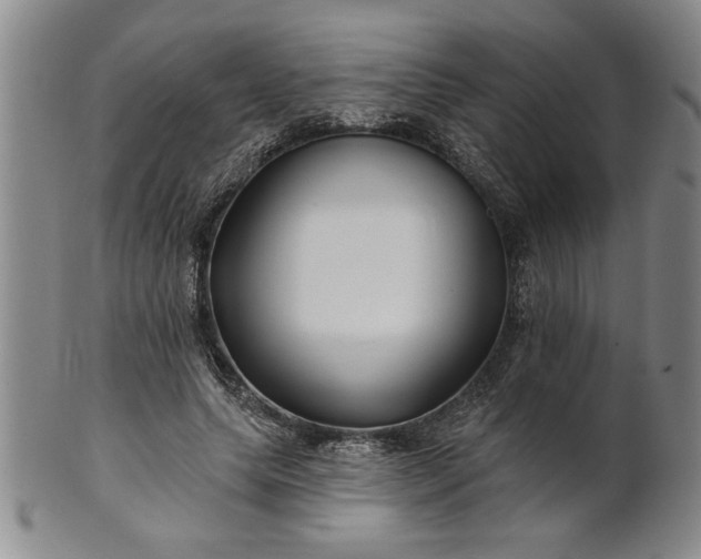 X0000100970639200807081220
