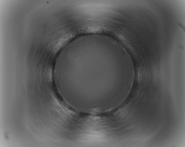 X0000100970640200807081220