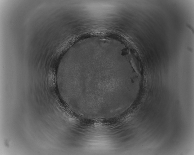 X0000100970641200807081220