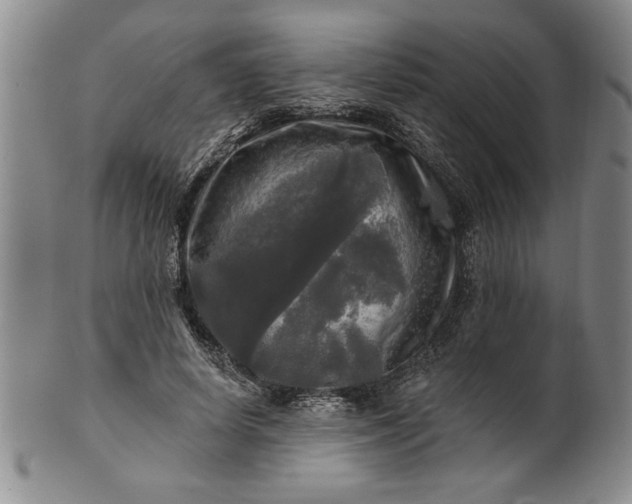 X0000100970642200807081220