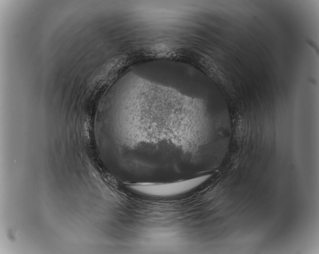 X0000100970643200807081220