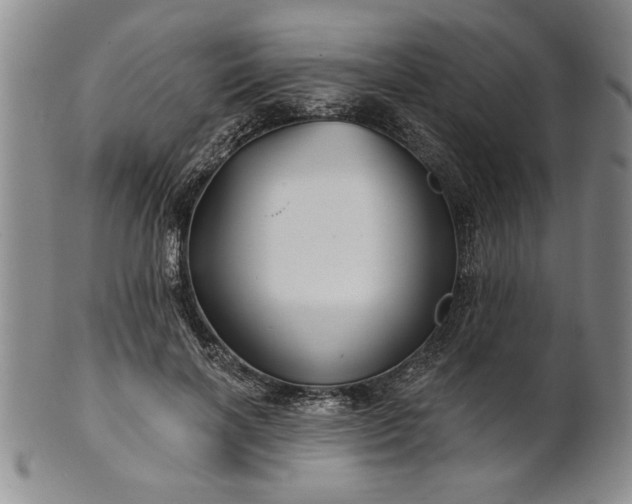 X0000100970646200807081220