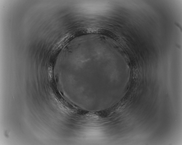 X0000100970648200807081220