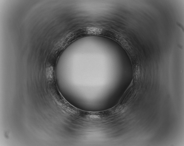 X0000100970649200807081220