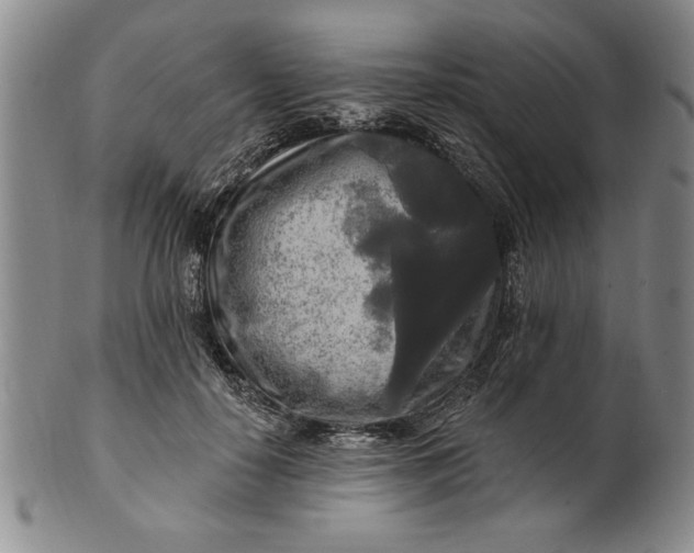 X0000100970650200807081221