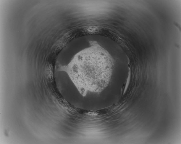 X0000100970651200807081221