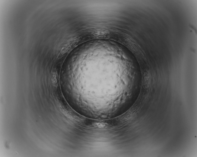 X0000100970654200807081221