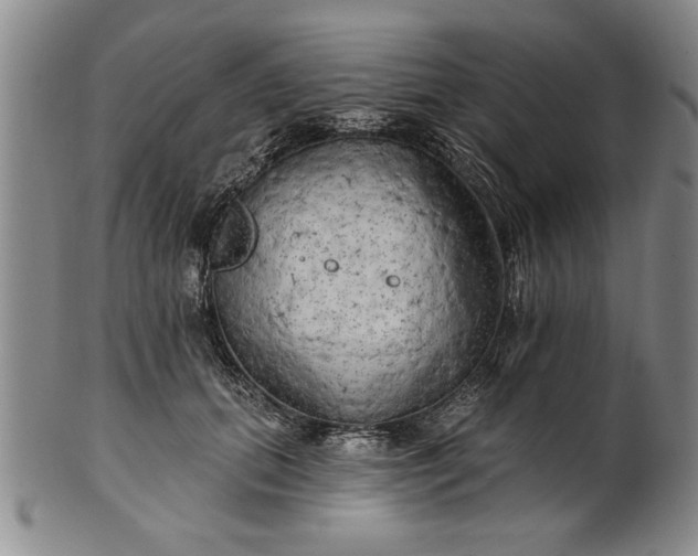 X0000100970655200807081221