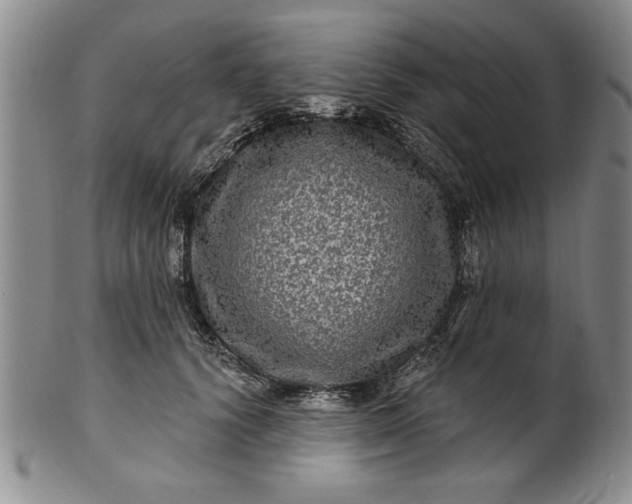 X0000100970656200807081221