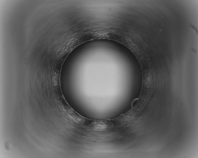 X0000100970658200807081221