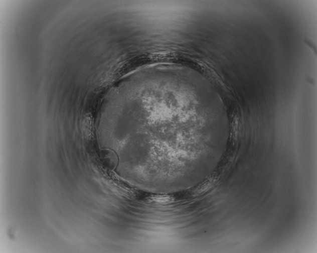 X0000100970659200807081221