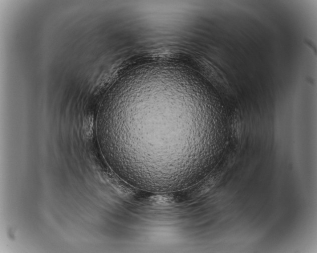 X0000100970660200807081221
