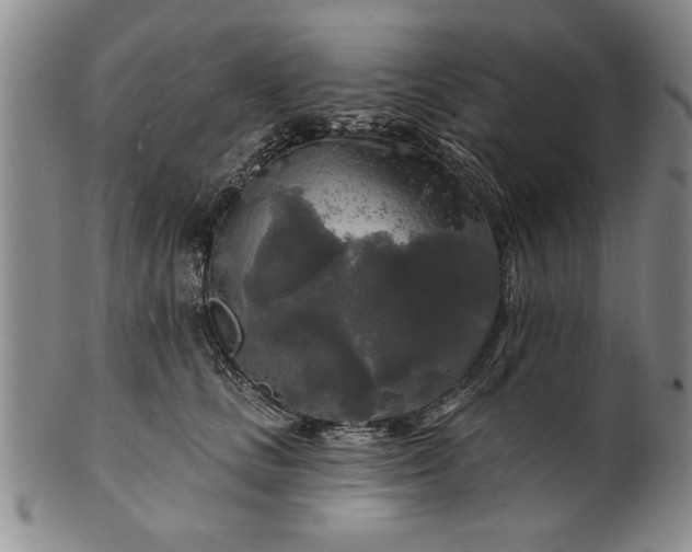 X0000100970661200807081221