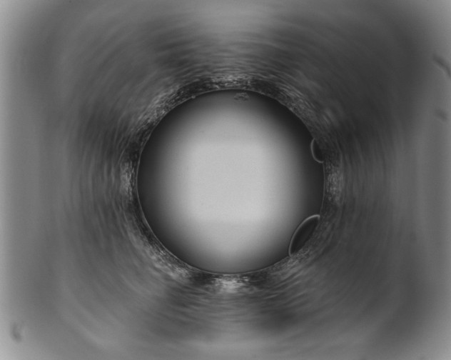 X0000100970662200807081221