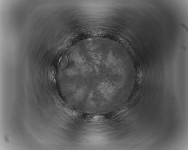 X0000100970663200807081221