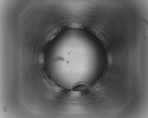 X0000100970665200807081221