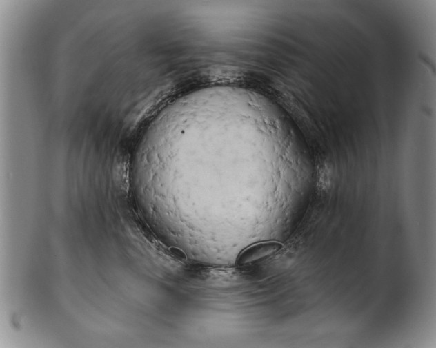 X0000100970666200807081221