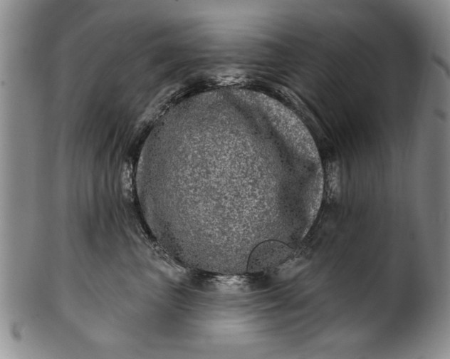 X0000100970667200807081221