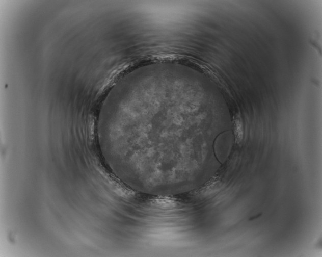 X0000100970668200807081221