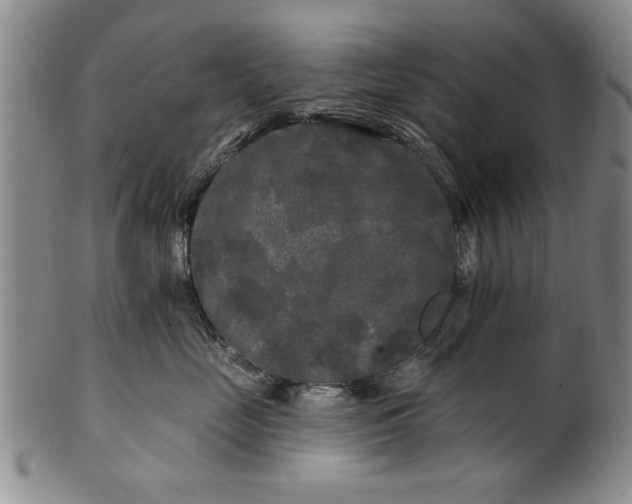 X0000100970669200807081221