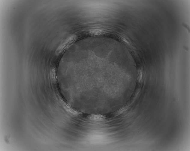 X0000100970670200807081221